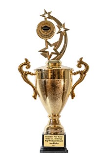 2017 Award