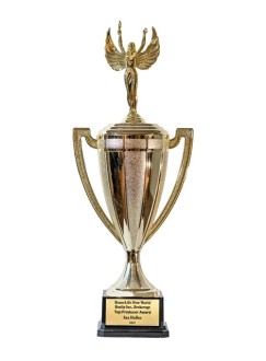 2021 Award