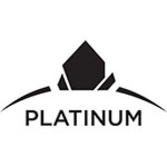 RE/MAX Platinum Award